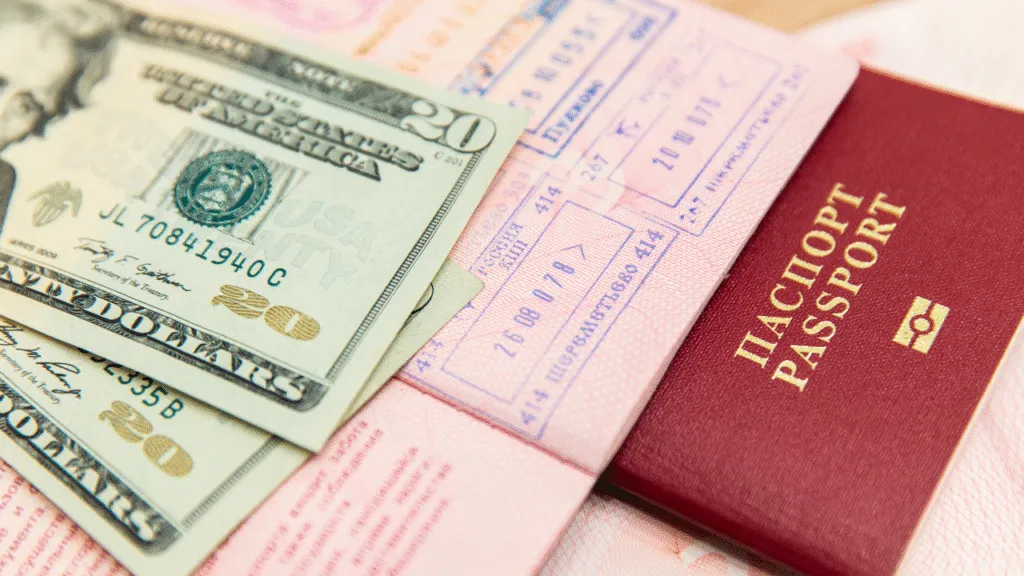 How To Apply for Vietnam E-Visa 2025?