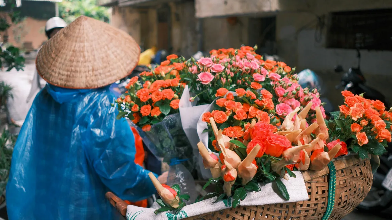 Why Using a Vietnam E-Visa Service Can Help First-Time Travelers?